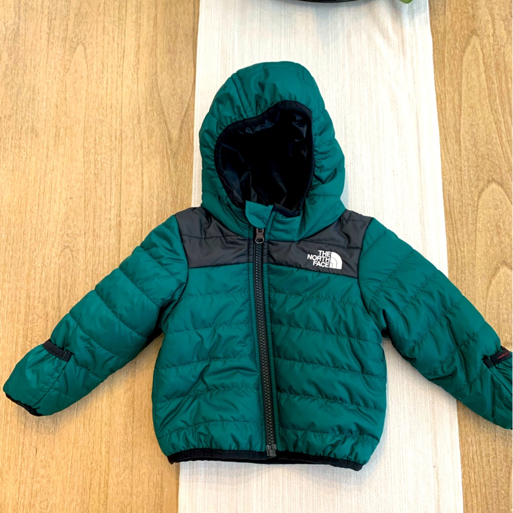 The North Face Hooded Puffer